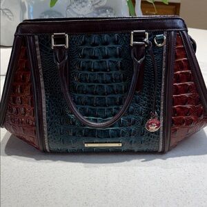Elegant Multicolor Crocodile Embossed Handbag
